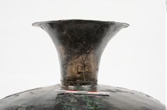 Foto von Bronzebreitrandfußschale (NHMW-PRAE-025182)
